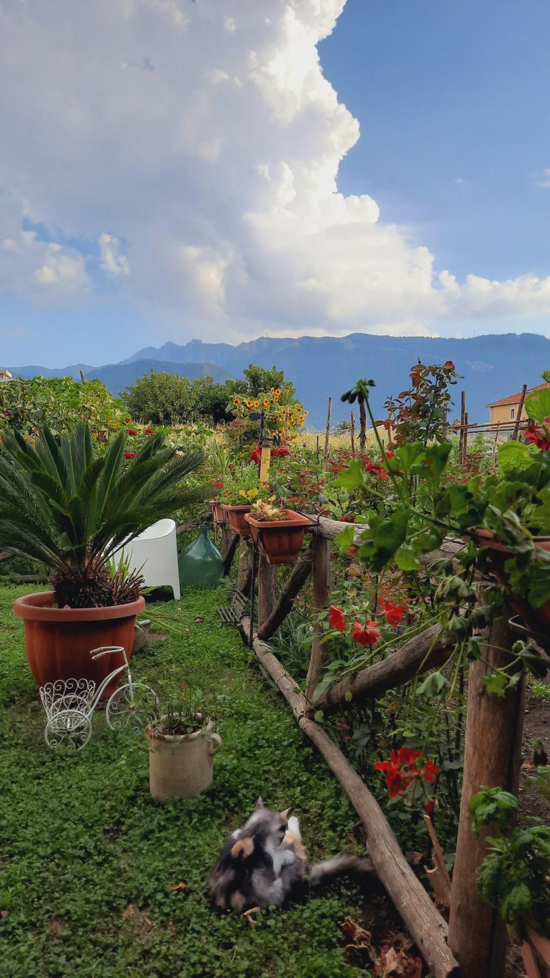Buonocore Rooms Santa Maria La Carita Экстерьер фото