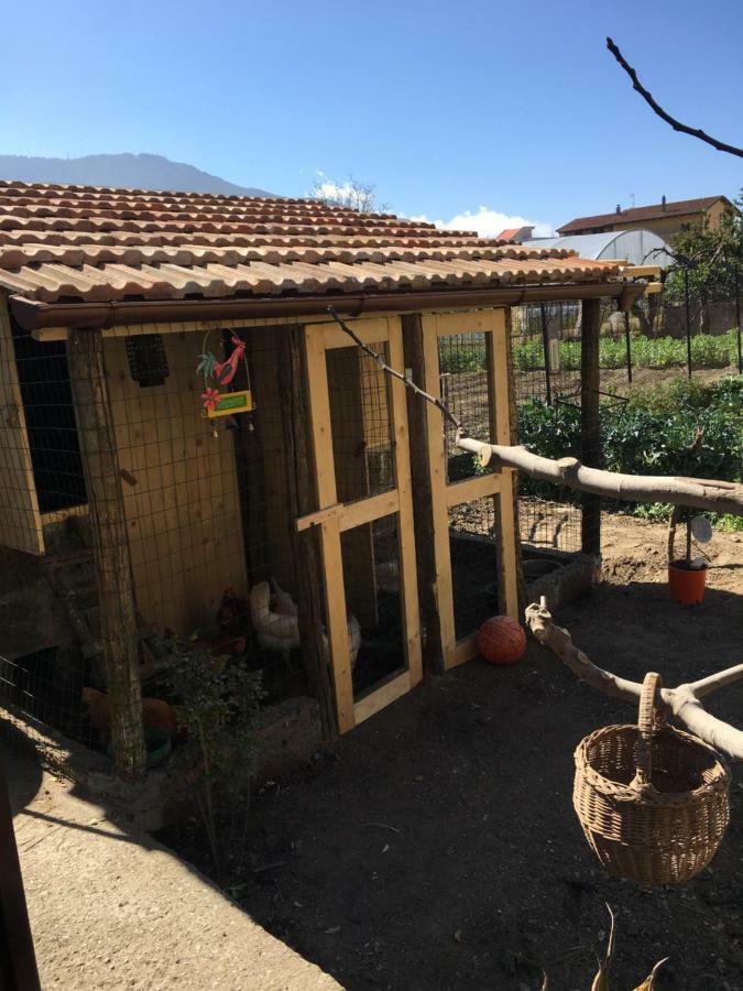 Buonocore Rooms Santa Maria La Carita Экстерьер фото